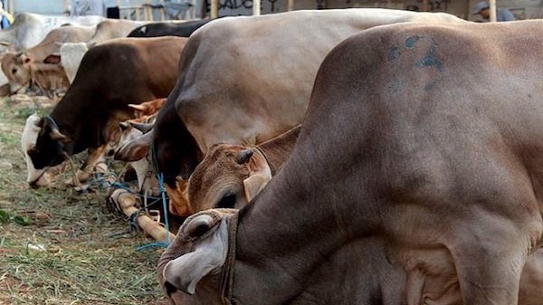 Perayaan Natal Ala Indonesia